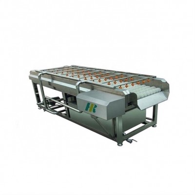 Lotusroot potato sweetpotato cassava yam taro industrial washing and peeling machine