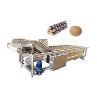 Industrial Pomegranate Olive Banana Vegetable Washing Machine Price Herb Cleaning Machine