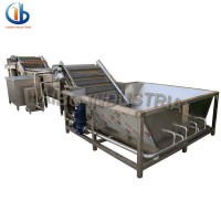 High output water spray ozone bubble potato washing plant/potato washing machine with brush roller and spray system