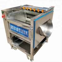 OC-600J Industrial Carrot Ginger Cassava Sweet Potato Washing Peeling Machine